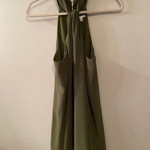naked zebra dress